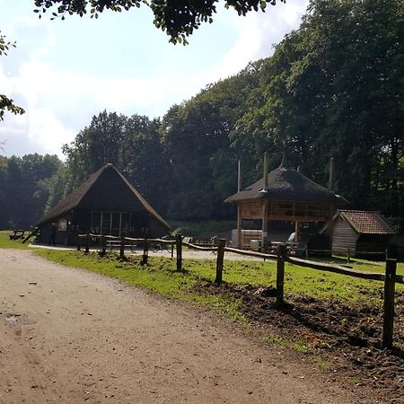 Reewold Veluwe Villa Putten Bagian luar foto
