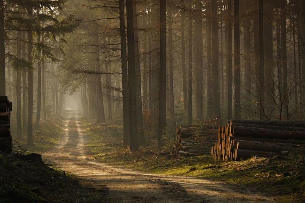 Reewold Veluwe Villa Putten Bagian luar foto