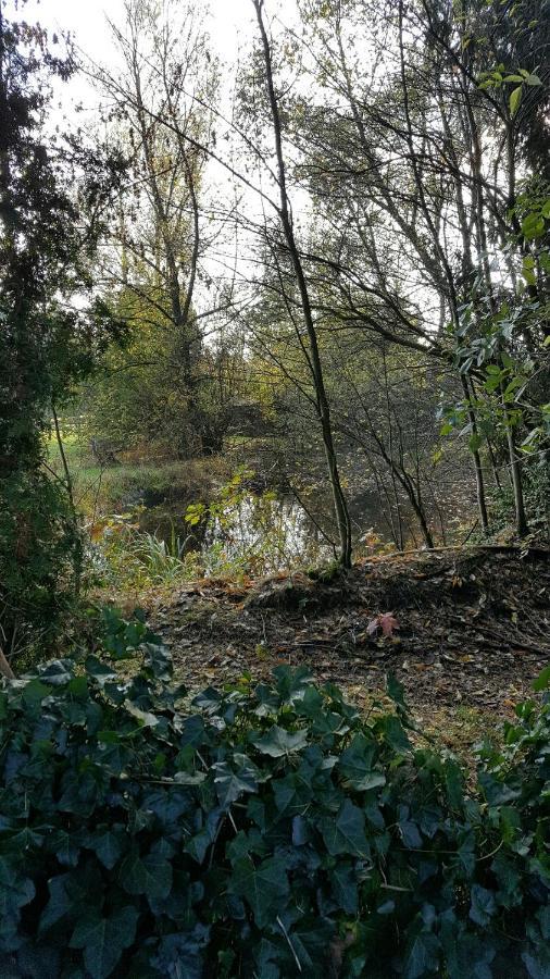 Reewold Veluwe Villa Putten Bagian luar foto