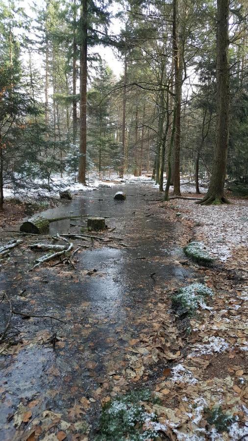 Reewold Veluwe Villa Putten Bagian luar foto