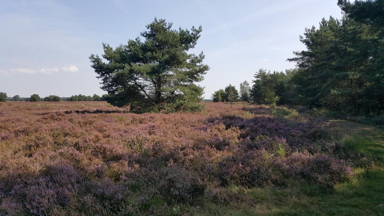 Reewold Veluwe Villa Putten Bagian luar foto