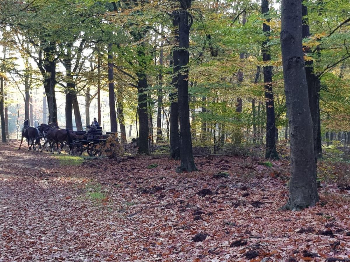 Reewold Veluwe Villa Putten Bagian luar foto