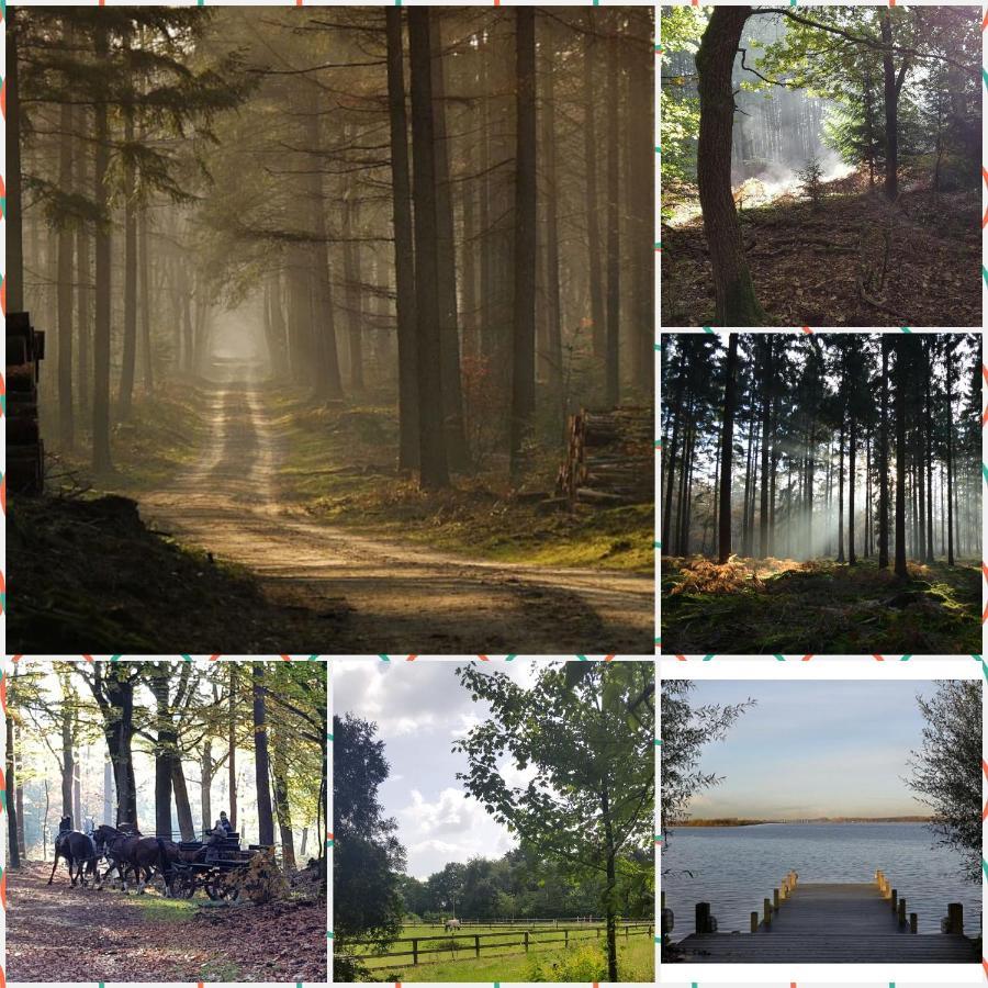 Reewold Veluwe Villa Putten Bagian luar foto