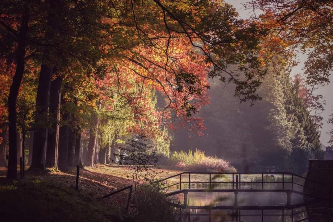 Reewold Veluwe Villa Putten Bagian luar foto