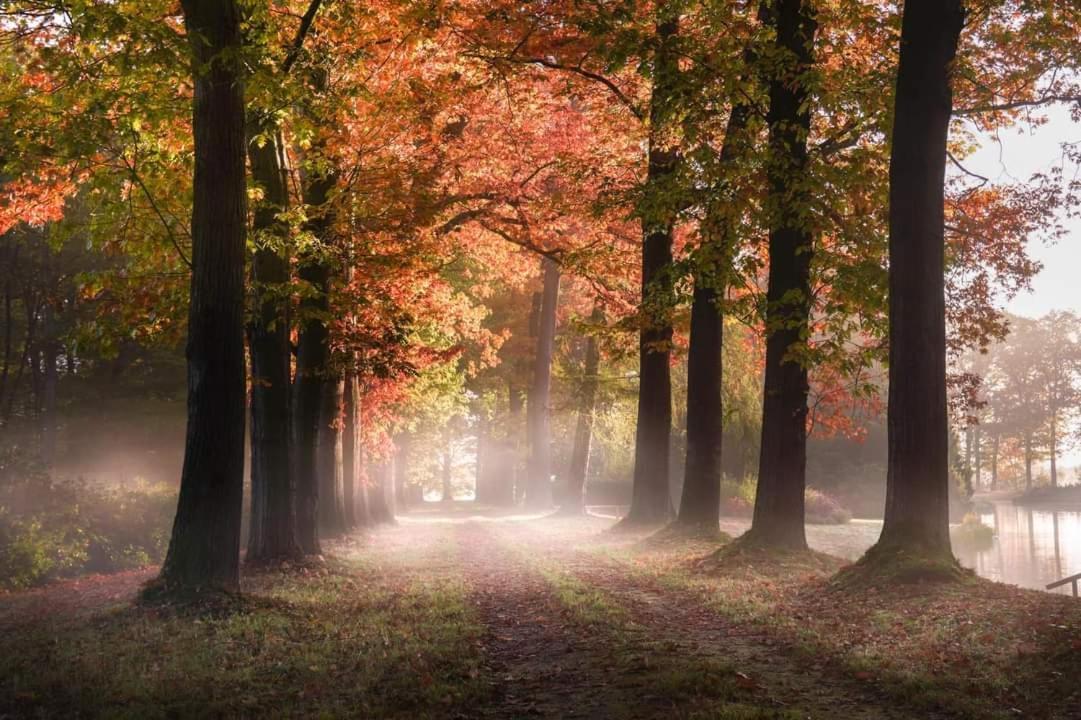 Reewold Veluwe Villa Putten Bagian luar foto